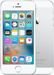 Купить Мобильный телефон Apple iPhone SE 16Gb (серебристый)