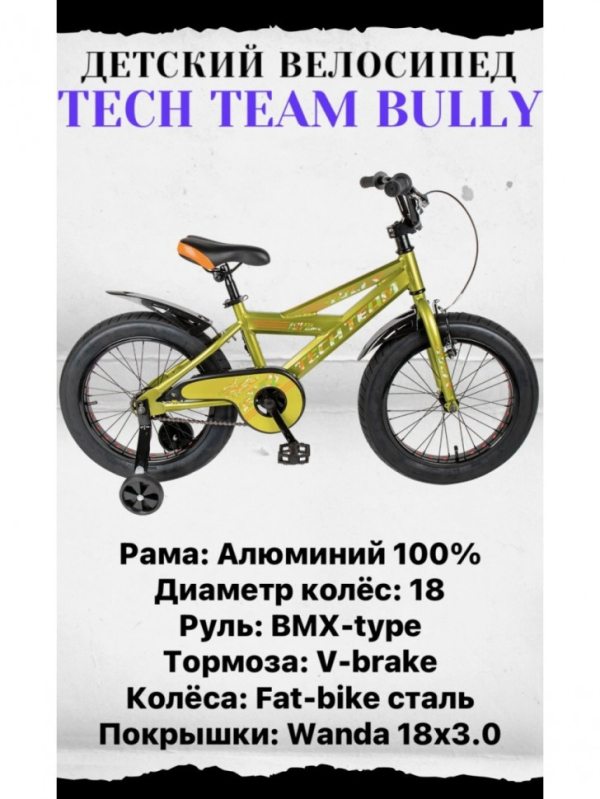 Купить Велосипед алюминиевый TechTeam Bully 18
