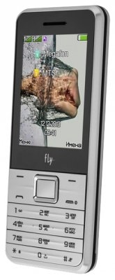 Купить Мобильный телефон Fly DS120+ Silver