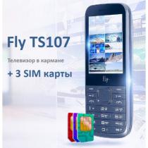 Купить Мобильный телефон Fly TS107 Silver