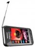 Samsung S5233T