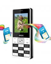 Купить Мобильный телефон Ginzzu R4 DUAL White/Black