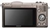 Купить Sony Alpha A5100 Kit (16-50mm) Brown