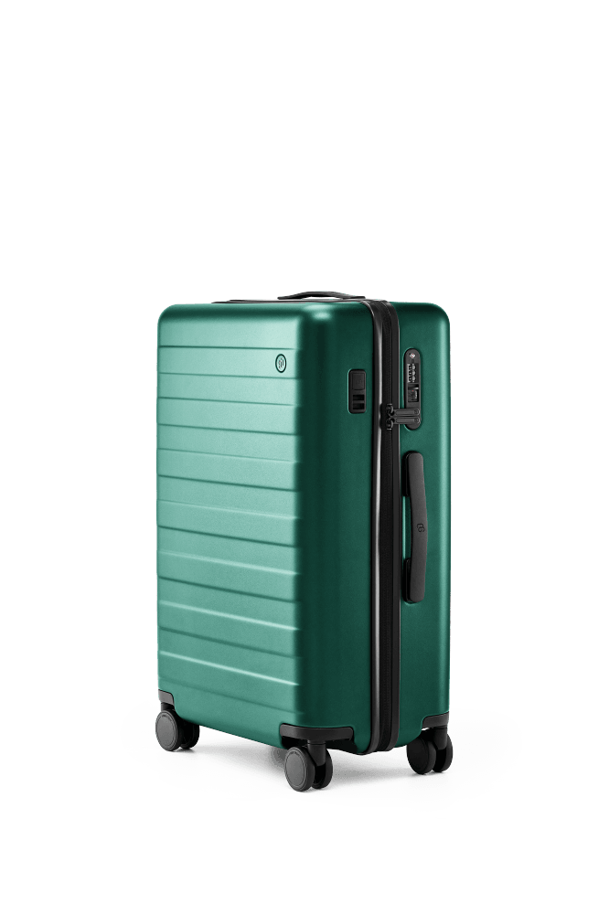 Купить Чемодан NINETYGO Rhine PRO plus Luggage -20'' зеленый