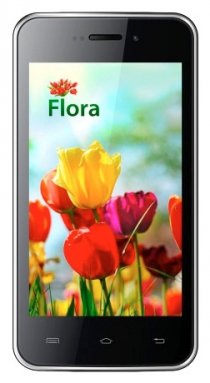 Купить Мобильный телефон KENEKSI Flora Black